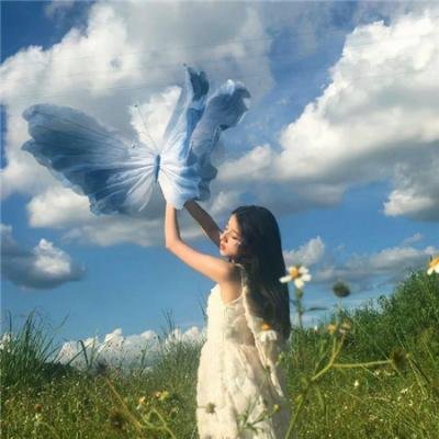 奈何太子他偏要宠
